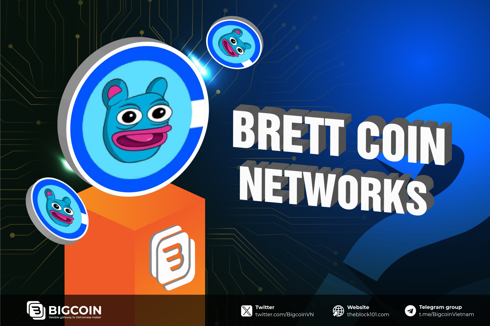 what-is-pump-fun-understanding-the-platform-behind-the-top-11-memecoin